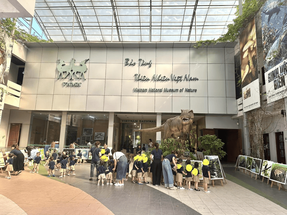 Explore nearby attractions for more family-friendly fun (Source: Fanpage Bảo tàng Thiên nhiên Việt Nam)